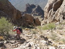 photo thumbnail #10