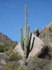 photo thumbnail #5
