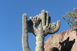 photo thumbnail #2
