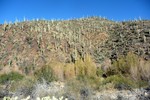 photo thumbnail #6