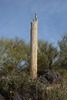 photo thumbnail #8