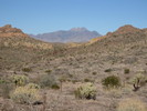 photo thumbnail #2