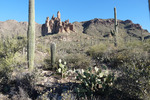photo thumbnail #4