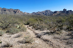 photo thumbnail #6