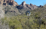 photo thumbnail #8