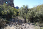 photo thumbnail #10