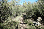 photo thumbnail #11