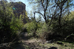 photo thumbnail #12
