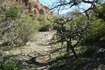 photo thumbnail #15