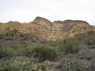 photo thumbnail #2
