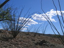 photo thumbnail #1