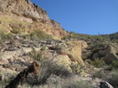 photo thumbnail #13