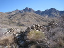 photo thumbnail #3
