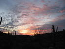 photo thumbnail #2
