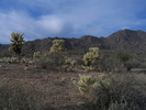 photo thumbnail #9