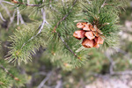 photo thumbnail #10