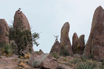 photo thumbnail #14