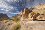 photo thumbnail #5