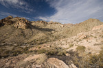 photo thumbnail #10
