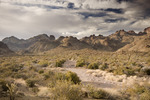photo thumbnail #14