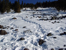 photo thumbnail #5