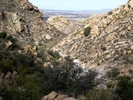 photo thumbnail #7