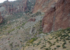 photo thumbnail #13