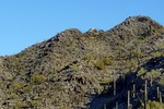 photo thumbnail #6