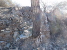 photo thumbnail #12