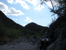 photo thumbnail #14