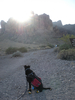 photo thumbnail #9