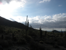 photo thumbnail #5