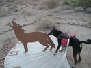 photo thumbnail #6