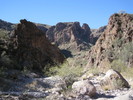 photo thumbnail #8