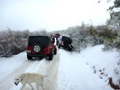 photo thumbnail #10