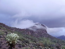 photo thumbnail #2