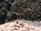 photo thumbnail #14
