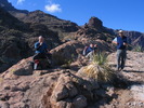 photo thumbnail #15