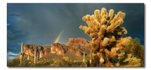 photo thumbnail #1