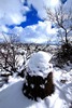 photo thumbnail #1
