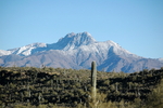 photo thumbnail #6