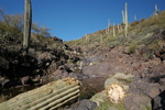 photo thumbnail #8