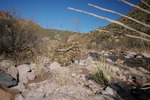 photo thumbnail #10