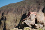 photo thumbnail #13