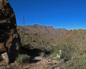 photo thumbnail #7