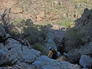 photo thumbnail #15
