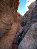 photo thumbnail #12