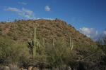 photo thumbnail #11