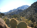 photo thumbnail #3