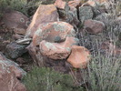photo thumbnail #6